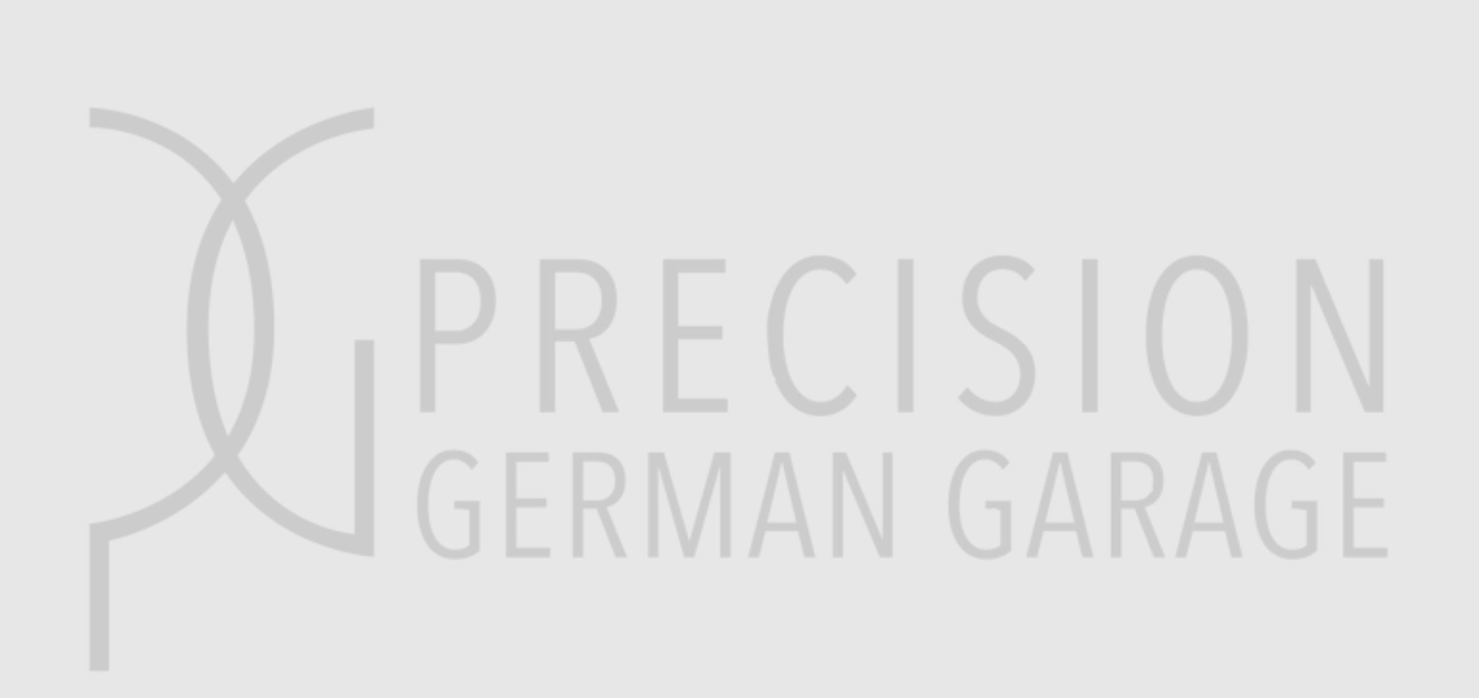 Precision German Garage